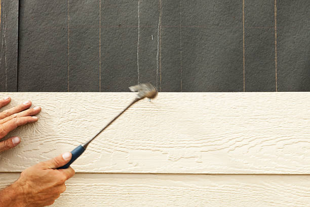 Best Steel Siding Installation  in Browntown, PA